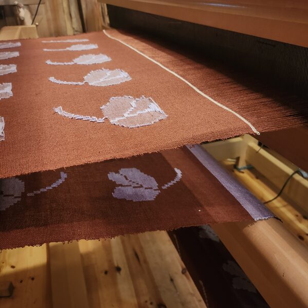 Brunču auduma aušana